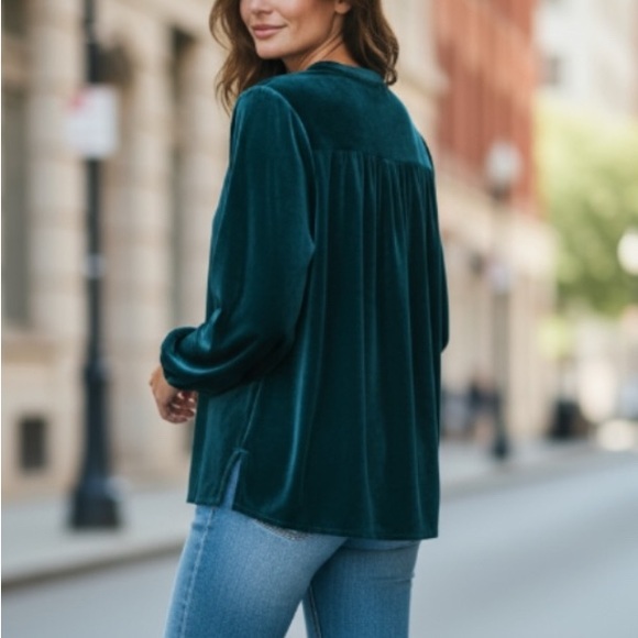 Bobi Los Angeles Jade Velvet Top Size Large - Picture 2 of 14